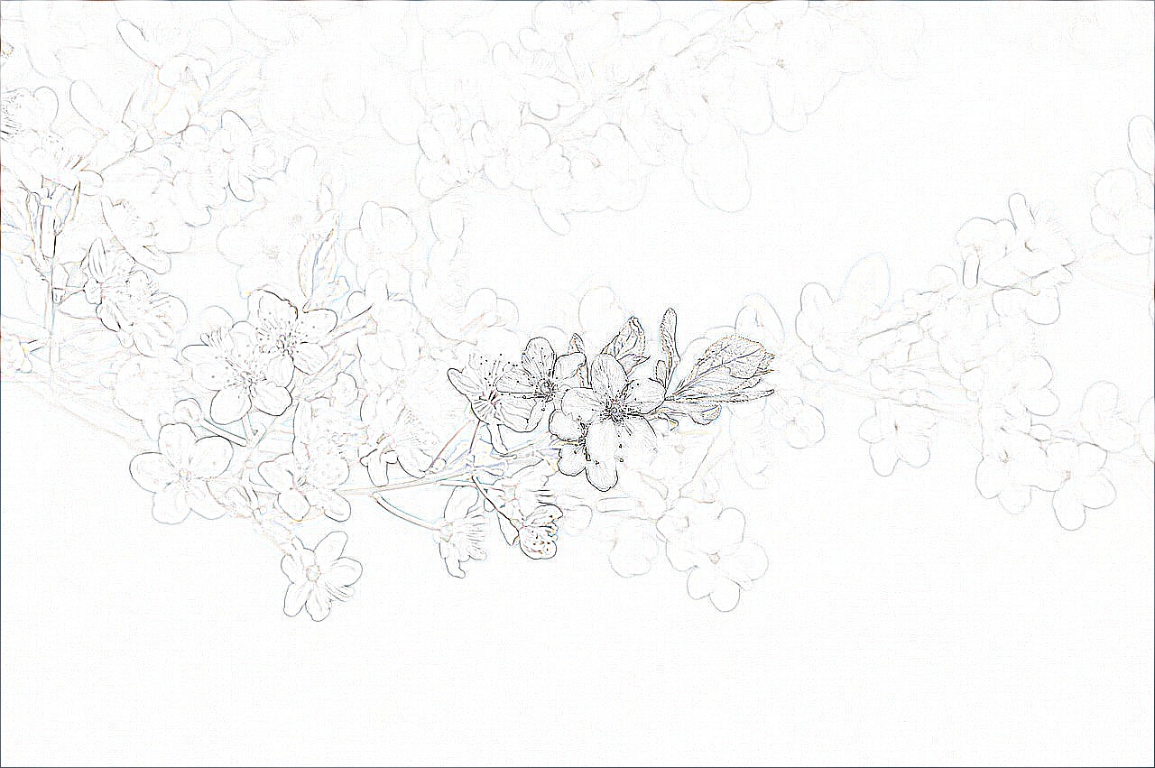 Contour (Enhanced) Preview