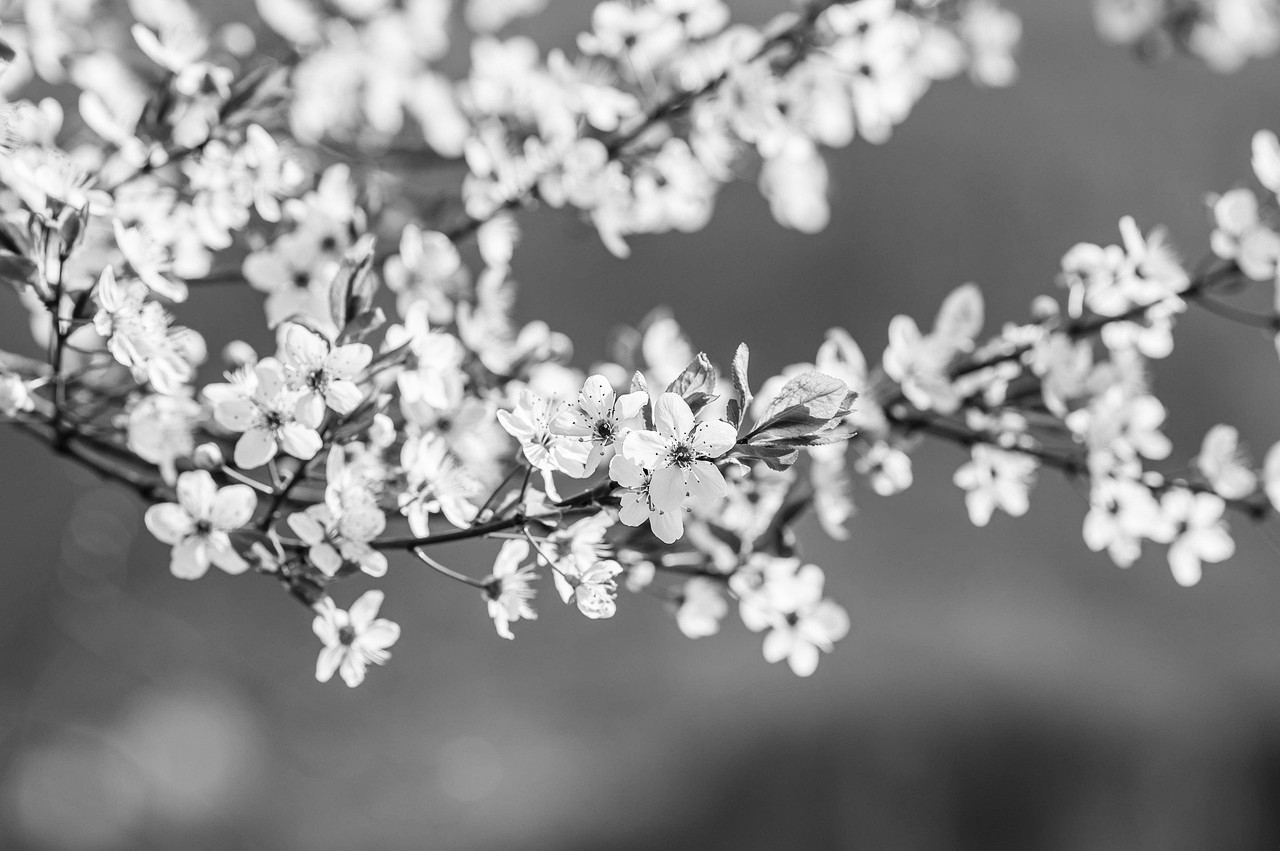 Bw10 Preview